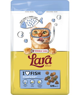 Pisica Adult cu Somon 1,9kg