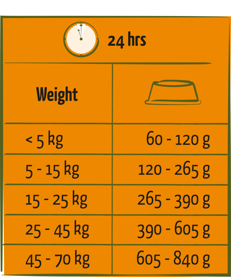 Caine Adult cu aroma de Vita 2.5kg - imagine 2