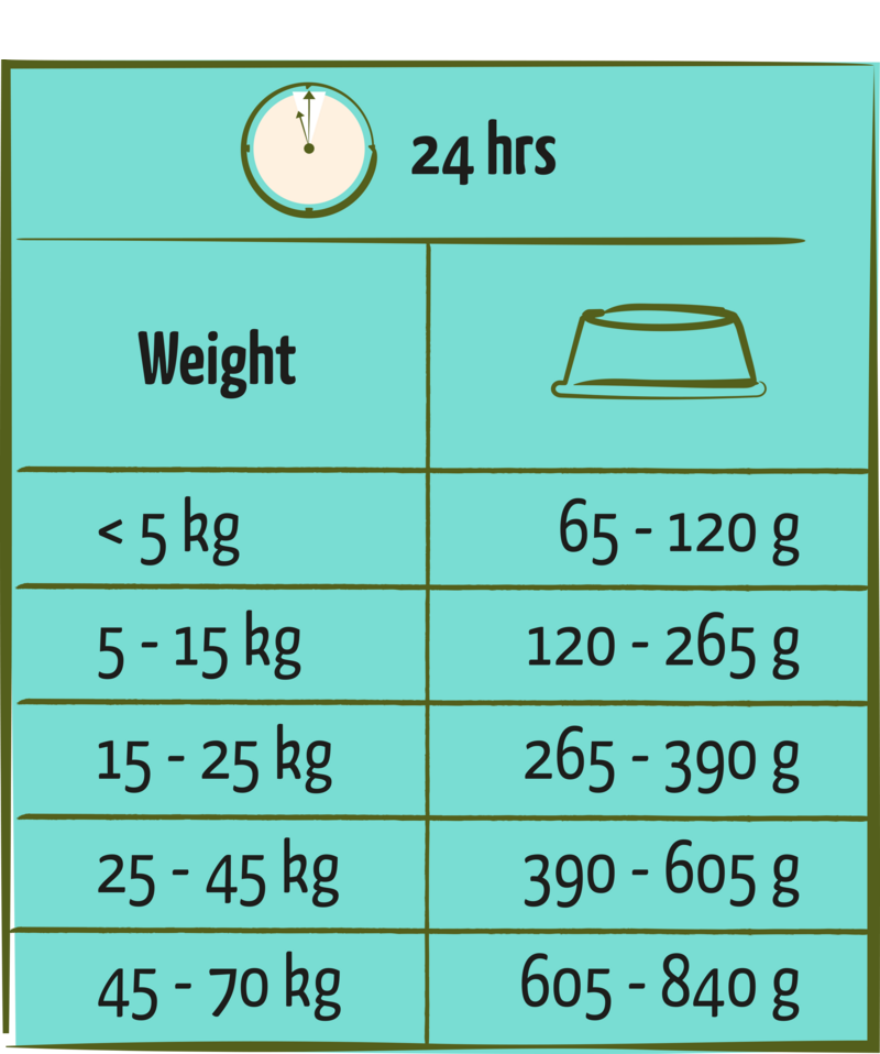 Caine Adult cu Somon 2.5kg - imagine 2